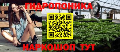 apvp Краснодар