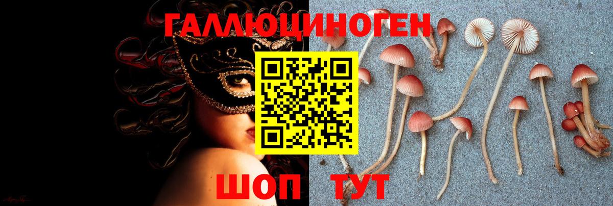 Галлюциногенные грибы прущие грибы Фурманов